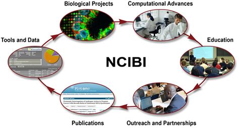 NCIBI 